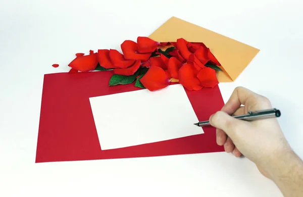 Blahopřání s okvětními lístky růží. Žlutá, červená, bílé pozadí. psaní rukou — Stock fotografie