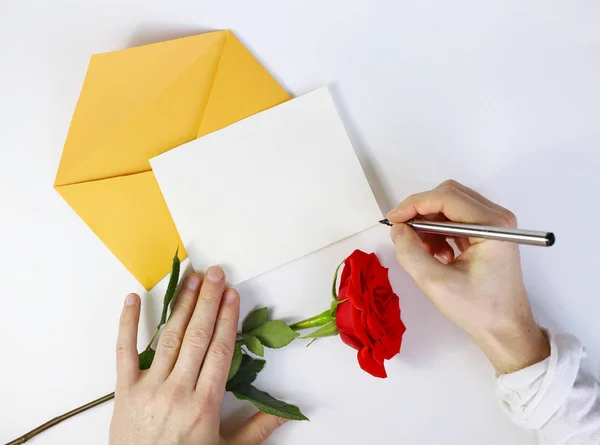 铭文的地方。给你爱的人的信。黄色的信封，在男性手中的红玫瑰。在白色背景上节日的问候 图库图片