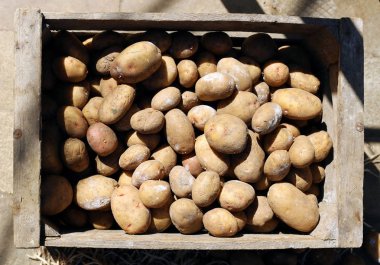 mezarda patates.