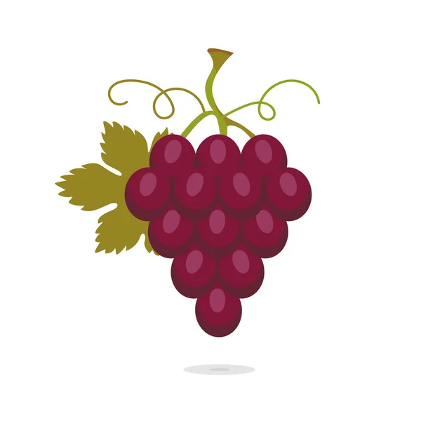 Ilustración con racimo de uvas rojas con hoja. Fruto dulce aislado sobre fondo blanco. Conjunto de iconos vectoriales — Vector de stock