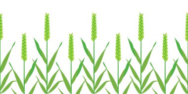 Kulak buğday vektör ile Seamless modeli. Organik ürünler için kavram