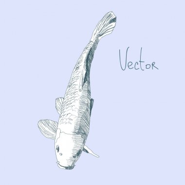 El çizmek çizim balıklarla vektörde.
