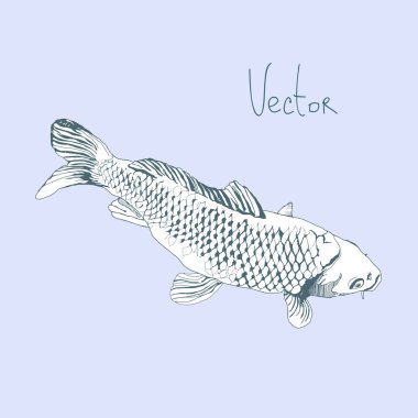 El çizmek çizim balıklarla vektörde.