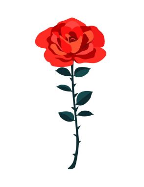 Güzel kırmızı gül beyaz arka plan üzerinde izole. Güzel çiçek vektör. Şirin düğün illüstrasyon ve Sevgililer günü kartı