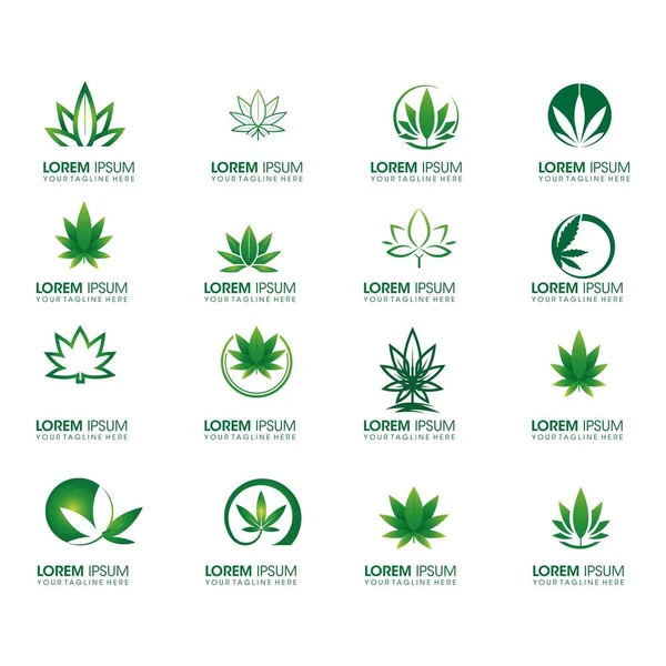 Conjunto Diseño Del Logotipo Cannabis Vector — Archivo Imágenes Vectoriales