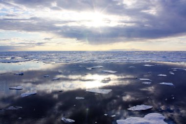ABD Sahil Güvenlik Cutter Healy, son günlerde Chukchi Denizi 'nde 2011 Icescape misyonu için okyanus verileri toplayan sadece küçük deniz buzlarıyla karşılaştı.