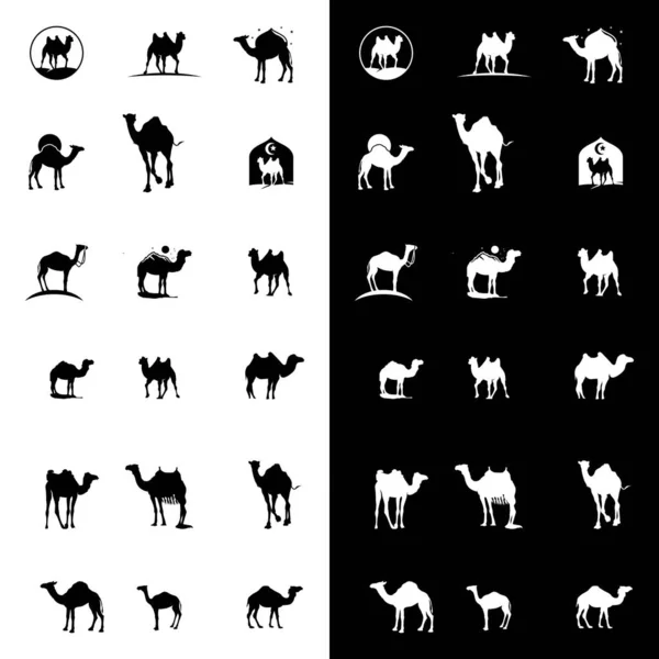 Conjunto Vetor Design Logotipo Camelo —  Vetores de Stock