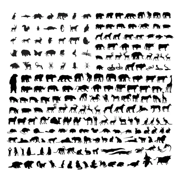 Sada Zvířat Volně Žijících Živočichů Silhoutte Symbol Symbol Logo Design — Stockový vektor