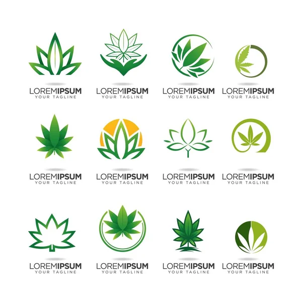 Conjunto Diseño Del Logotipo Cannabis Vector — Archivo Imágenes Vectoriales