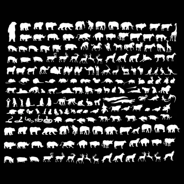 Ensemble Silhoutte Animalière Sur Fond Noir — Image vectorielle