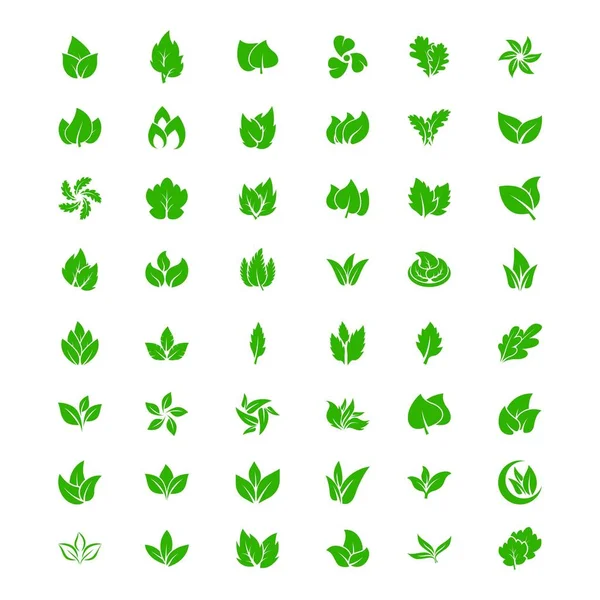 Set Leaf Nature Tree Business Logo Design Vector Template — 图库矢量图片