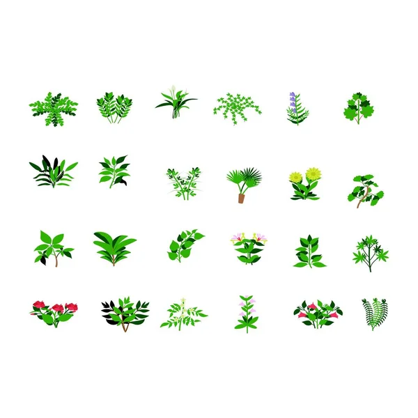 Conjunto Hoja Naturaleza Árbol Negocio Logo Diseño Vector Plantilla — Vector de stock