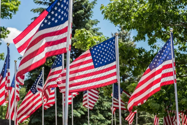 Американськими прапорами, розмахуючи — стокове фото