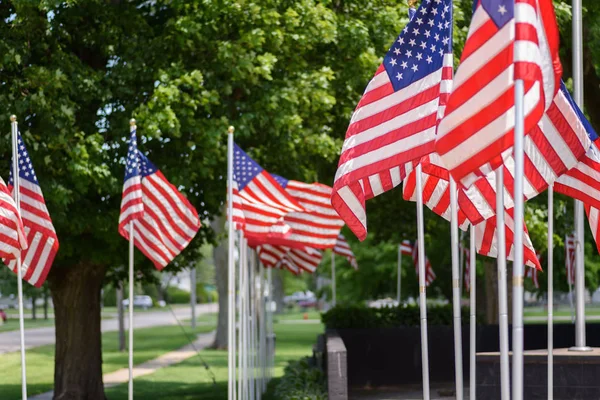 American flags blowing in park — Stock Photo, Image