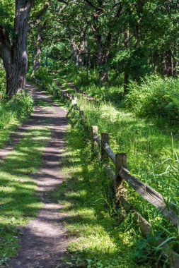 Yazın eski toprak yol