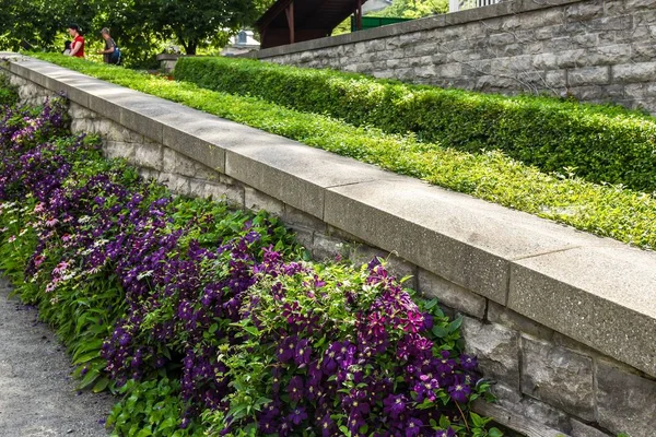 Härdade stödvägg i trädgården — Stockfoto