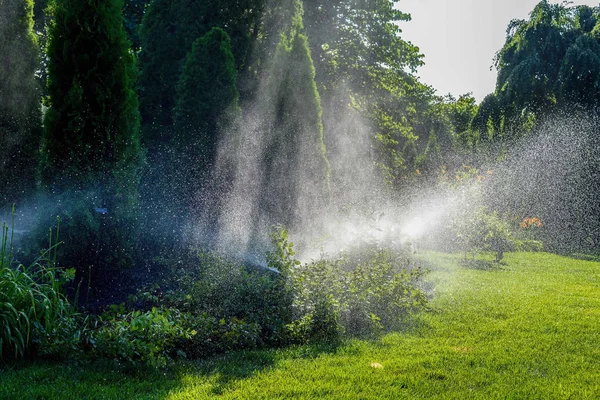 Automatiska sprinklersystem i morgon solljus — Stockfoto