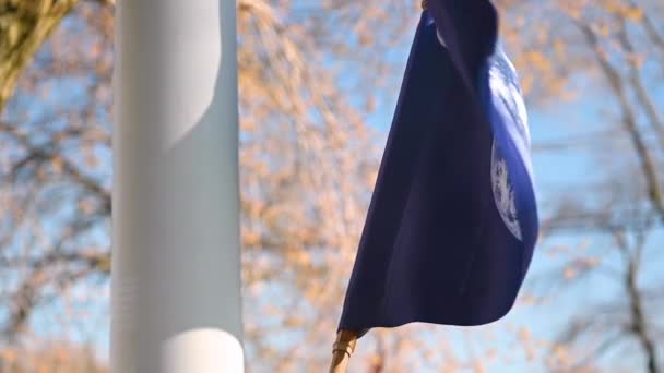 Flagge Zum Tag Der Erde Weht Zeitlupe — Stockvideo