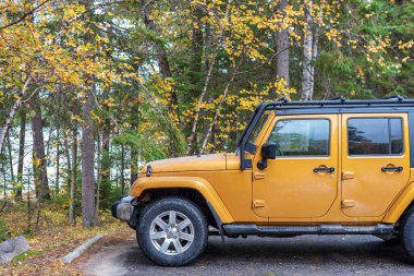 Michigan yarımadasının yukarısındaki State Park 'ta renkli sonbahar yeşilliğine sahip bir spor aracı.