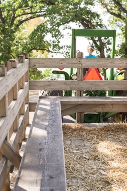 Kadın sonbahar hasat festivalinde traktörün arkasında saman arabasının römorkunu çekiyor.