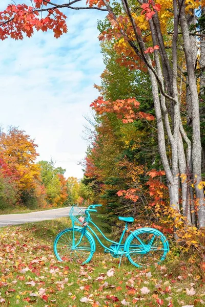 Retro Shabby Chic Bici Dipinta Blu Lungo Ciglio Della Strada — Foto Stock