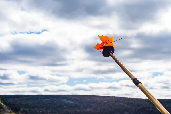 Único Pólo Caminhada Apontou Para Céu Com Folha Bordo Laranja — Fotografia de Stock