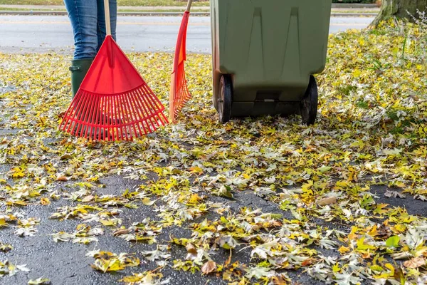 woman getting ready to rake leaves in driveway with waste bin