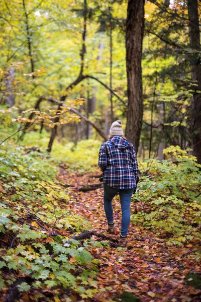 秋天在Porqupine山州立公园的树林里徒步旅行的人 — 图库照片