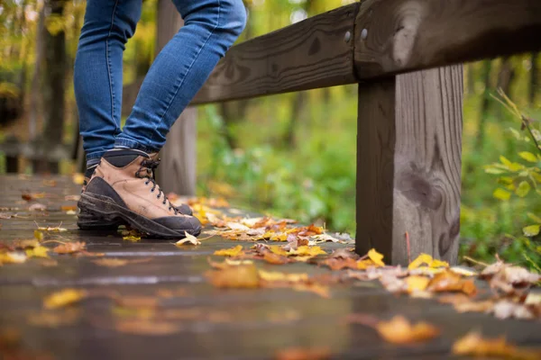Nahaufnahme Der Wanderschuhe Herbstlichen Wald — Stockfoto