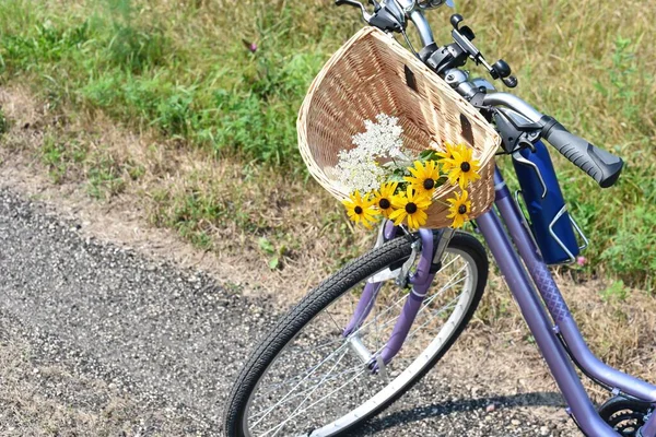 basket of cheerful summer flowers on bicycle handlebars