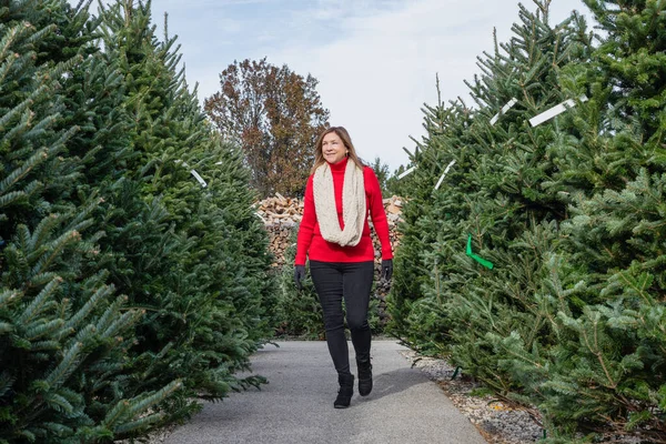 Gülümseyen orta yaşlı kadın bahçe merkezinde yeni kesilmiş bir Noel ağacı arıyor.