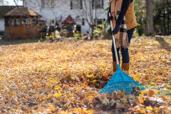 low angle view of stylish woman raking leaves in backyard in Autumn