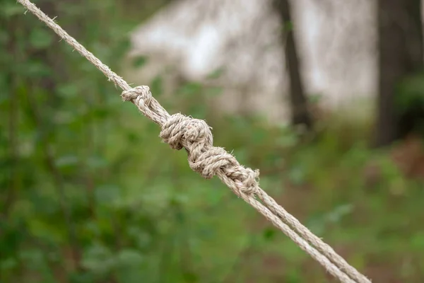 Strickknoten Zeltpfahl Auf Zeltplatz Gebunden — Stockfoto