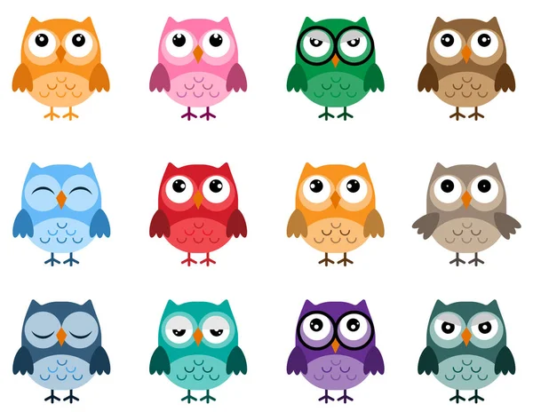 Chouettes dans un design plat, différents personnages — Image vectorielle