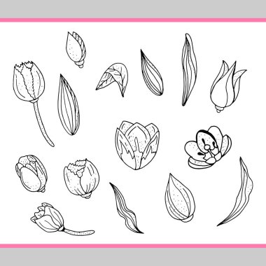 Siyah ve beyaz kontur tek renkli.