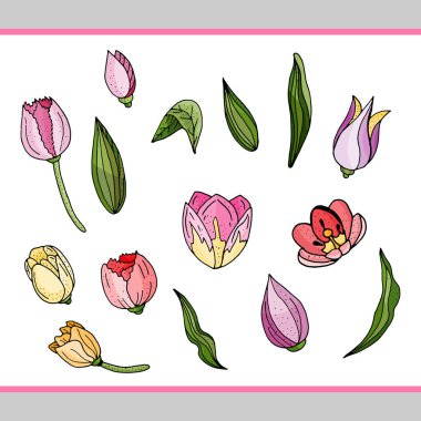 Siyah ve beyaz kontur tek renkli.