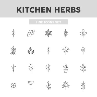  Mutfak otları basit çizgi simgeleri. Web tasarımı için vektör illüstrasyon unsurları.