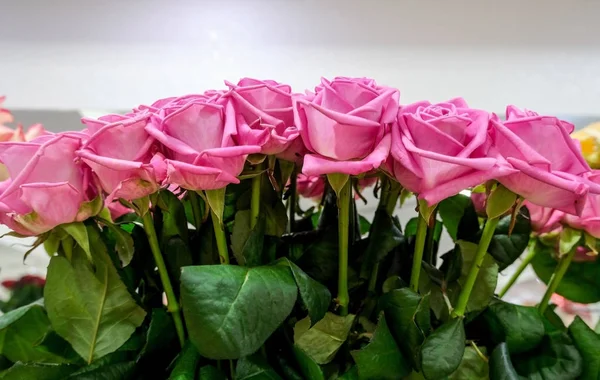 Троянди Квітковому Магазині Свіжі Вирізані Троянди Красивий Квітковий Фон — стокове фото