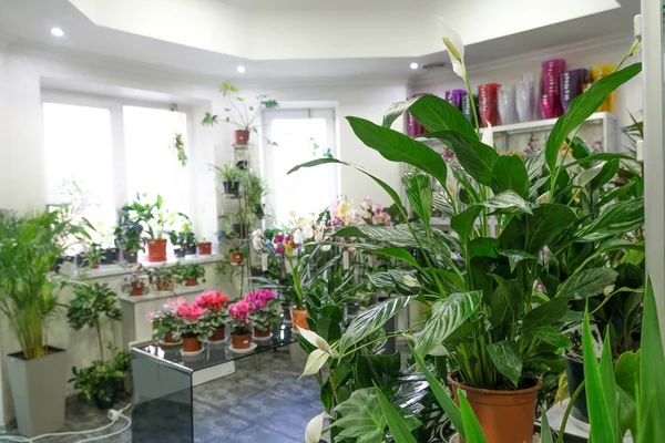 Штучна Квіткова Композиція Квітковому Магазині Квіткова Тема Виготовлення Букетів — стокове фото