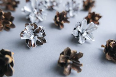 Çam kozalağı yakın çekim. Seçici odak.