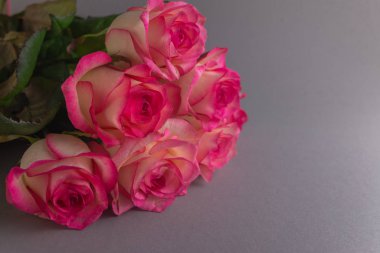 Gri arka planda bir buket gül. Çiçekleri kapatın. Anneler Günü Konsepti, 8 Mart, Kadınlar Günü.