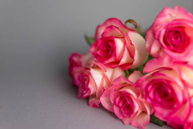 Gri arka planda bir buket gül. Çiçekleri kapatın. Anneler Günü Konsepti, 8 Mart, Kadınlar Günü.