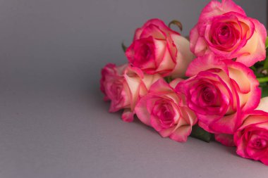 Gri arka planda bir buket gül. Çiçekleri kapatın. Anneler Günü Konsepti, 8 Mart, Kadınlar Günü.