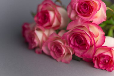 Gri arka planda bir buket gül. Çiçekleri kapatın. Anneler Günü Konsepti, 8 Mart, Kadınlar Günü.