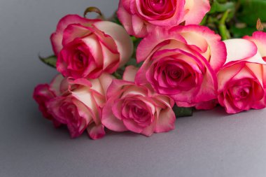 Gri arka planda bir buket gül. Çiçekleri kapatın. Anneler Günü Konsepti, 8 Mart, Kadınlar Günü.