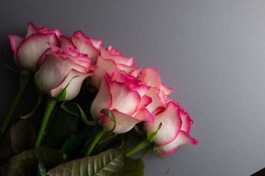 Gri arka planda bir buket gül. Çiçekleri kapatın. Anneler Günü Konsepti, 8 Mart, Kadınlar Günü.