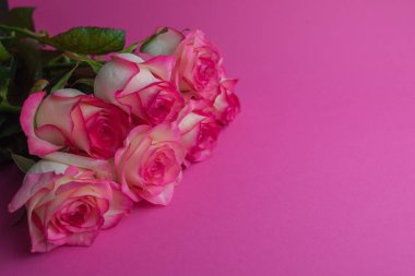 Pembe arka planda bir buket gül. Çiçekleri kapatın. Anneler Günü Konsepti, 8 Mart, Kadınlar Günü.