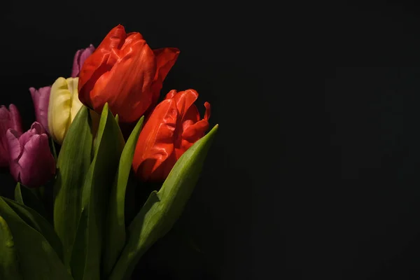 Strauß Tulpen Auf Schwarzem Hintergrund — Stockfoto