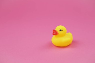 Pembe arka planda plastik ördek.