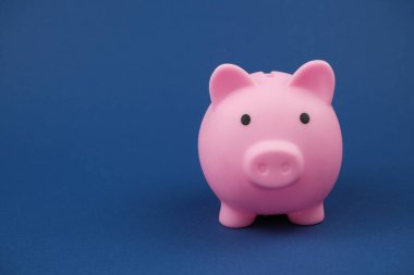 Kraliyet mavi arka planında pembe domuz kumbarası. Tasarruf, yatırım, bankacılık veya iş hizmetleri kavramı.